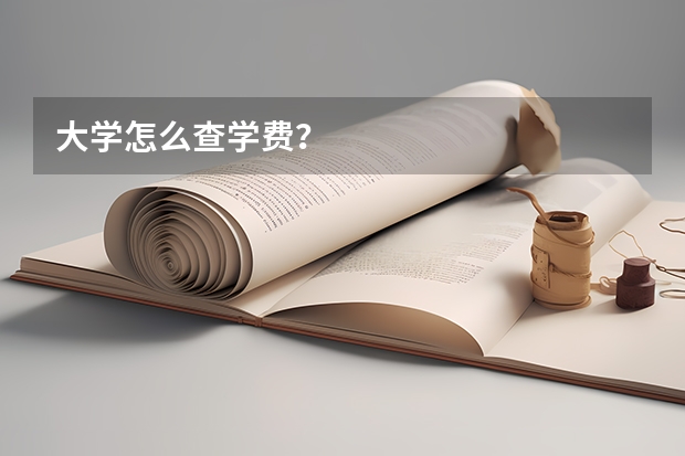 大学怎么查学费？
