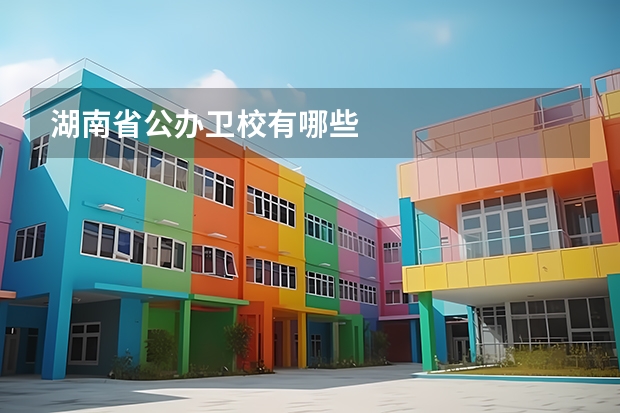 湖南省公办卫校有哪些