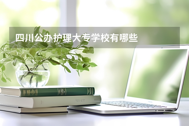 四川公办护理大专学校有哪些
