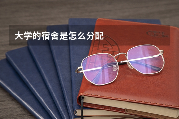 大学的宿舍是怎么分配