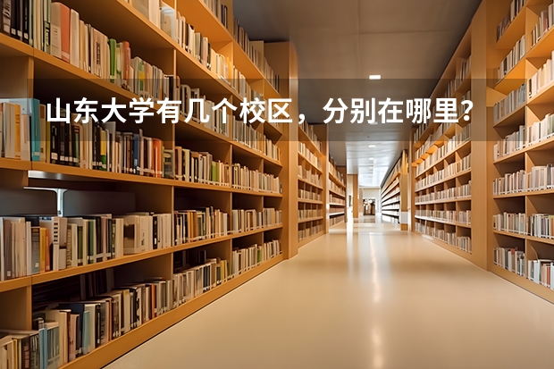 山东大学有几个校区，分别在哪里？