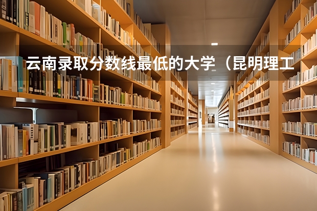 云南录取分数线最低的大学（昆明理工大学城市学院和红河学院哪所学校好）