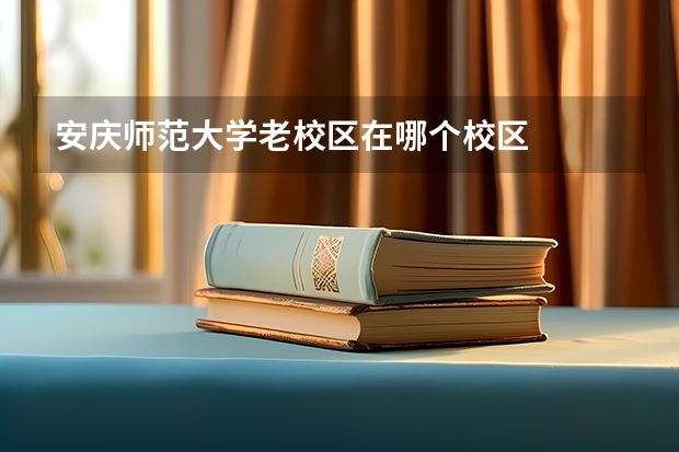 安庆师范大学老校区在哪个校区