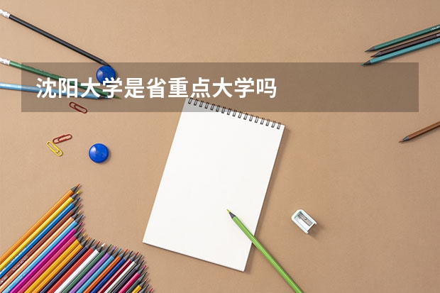 沈阳大学是省重点大学吗