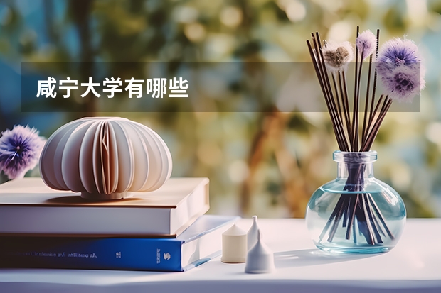 咸宁大学有哪些