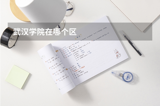 武汉学院在哪个区