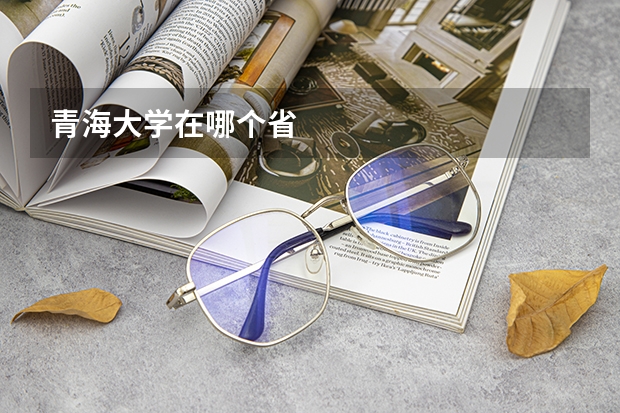 青海大学在哪个省