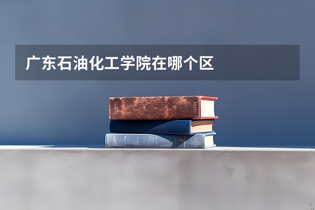 广东石油化工学院在哪个区