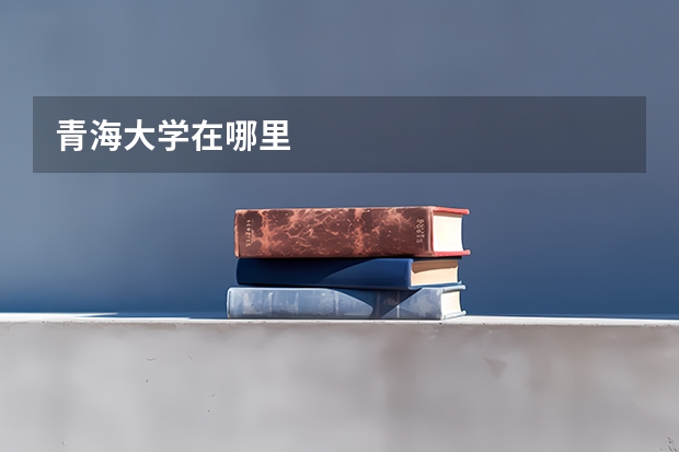 青海大学在哪里