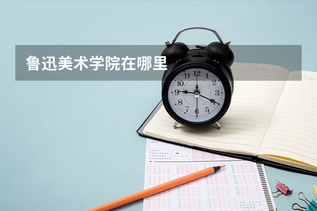 鲁迅美术学院在哪里
