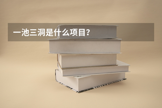 一池三洞是什么项目？