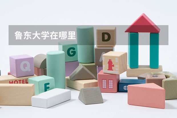 鲁东大学在哪里