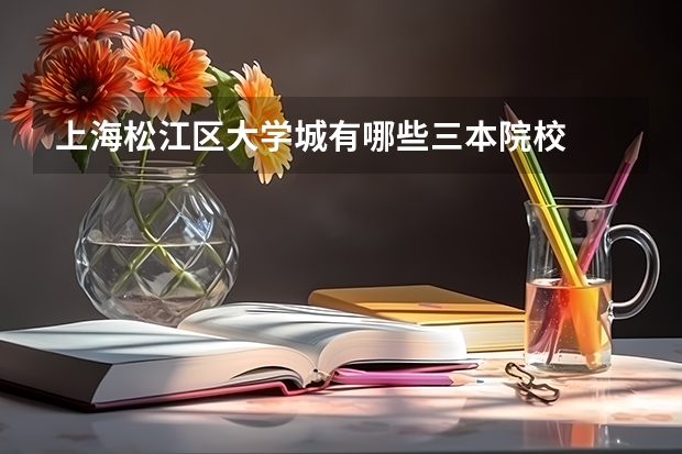 上海松江区大学城有哪些三本院校