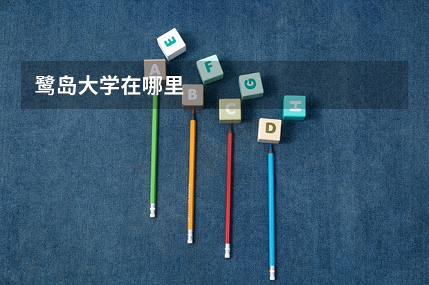 鹭岛大学在哪里