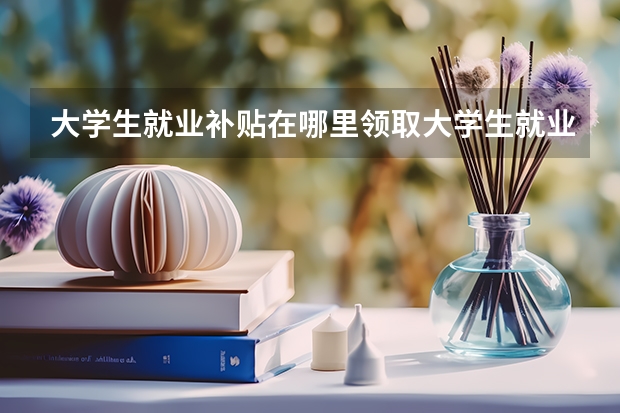 大学生就业补贴在哪里领取大学生就业补贴怎么领