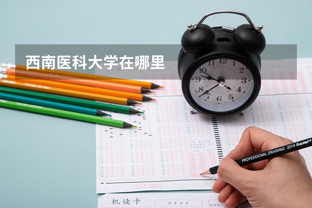 西南医科大学在哪里