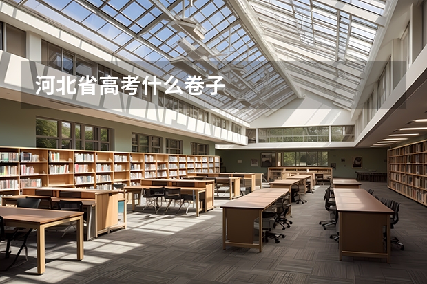 河北省高考什么卷子