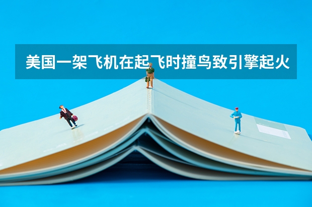 美国一架飞机在起飞时撞鸟致引擎起火，飞机上的人员是如何安全撤离的？