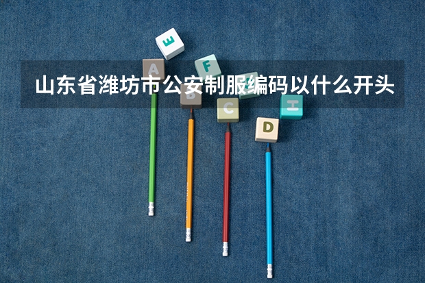 山东省潍坊市公安制服编码以什么开头
