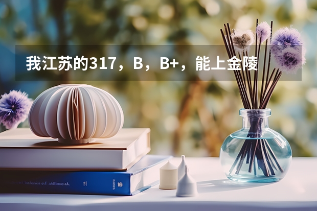 我江苏的317,B,B+,能上金陵三本吗?成贤金陵哪个好