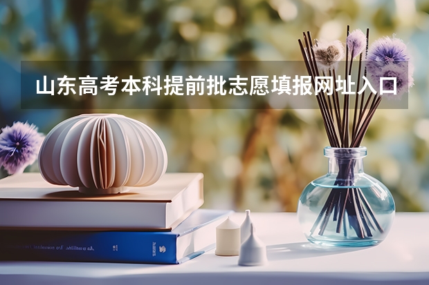 山东高考本科提前批志愿填报网址入口怎么进,如何填报