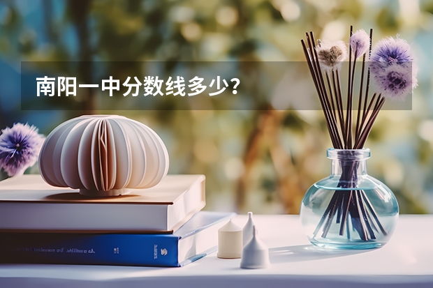 南阳一中分数线多少？