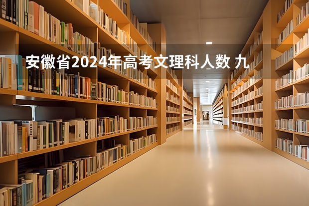 安徽省2024年高考文理科人数 九省联考总人数