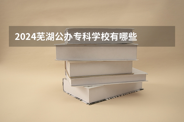 2024芜湖公办专科学校有哪些