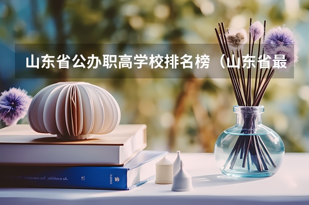 山东省公办职高学校排名榜（山东省最好的专科学校排名公办）
