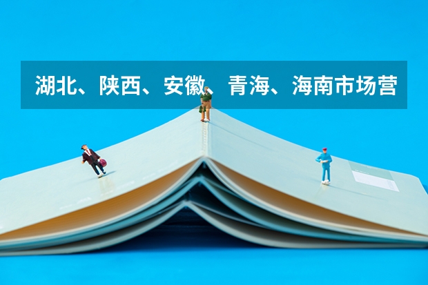 湖北、陕西、安徽、青海、海南市场营销专科哪个学校好？