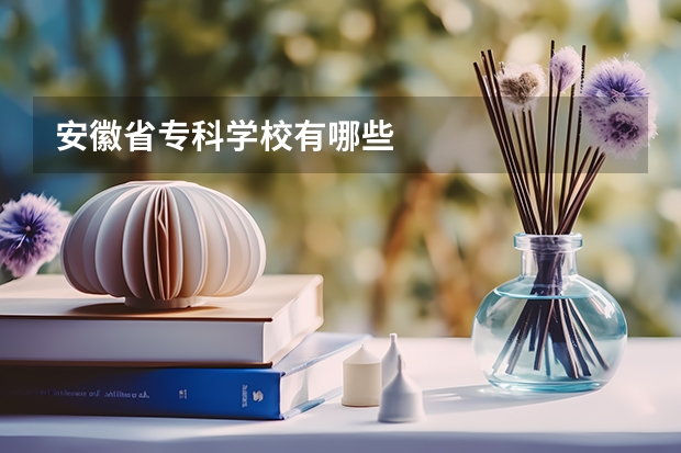 安徽省专科学校有哪些