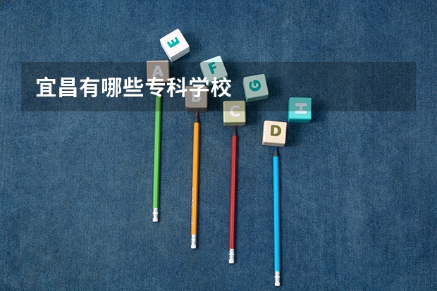 宜昌有哪些专科学校