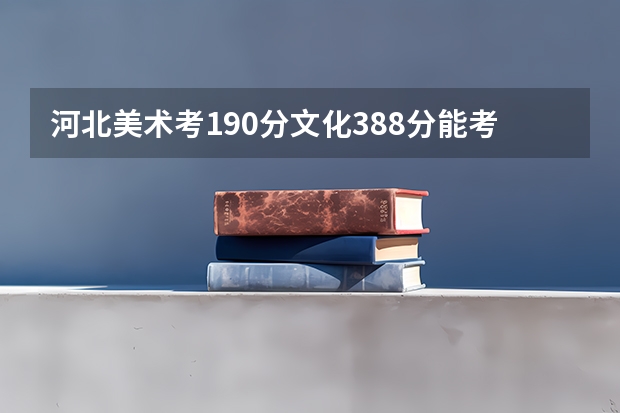 河北美术考190分文化388分能考哪个学校？