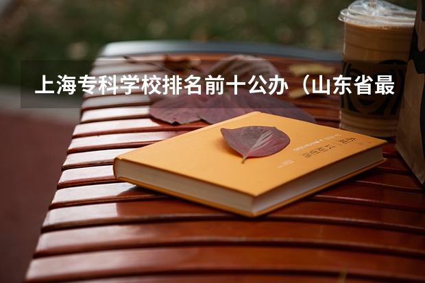 上海专科学校排名前十公办（山东省最好的专科学校排名公办）