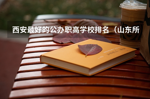 西安最好的公办职高学校排名（山东所有公办大专学校排名）