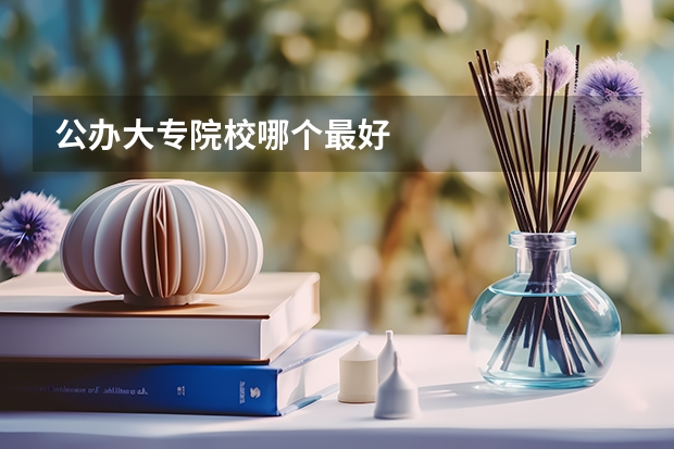 公办大专院校哪个最好
