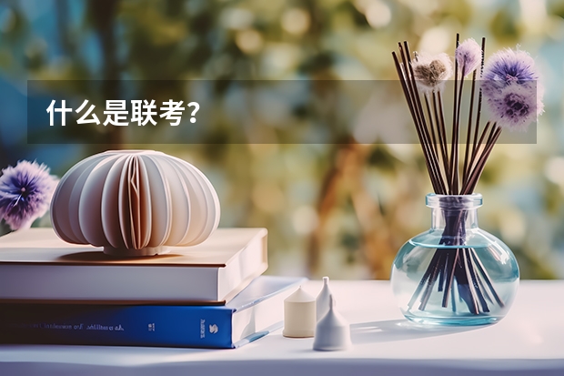 什么是联考？
