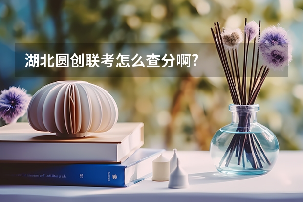 湖北圆创联考怎么查分啊?