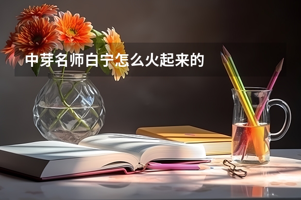 中芽名师白宁怎么火起来的