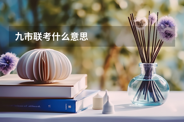 九市联考什么意思