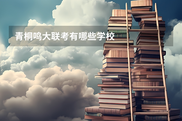 青桐鸣大联考有哪些学校