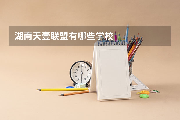 湖南天壹联盟有哪些学校