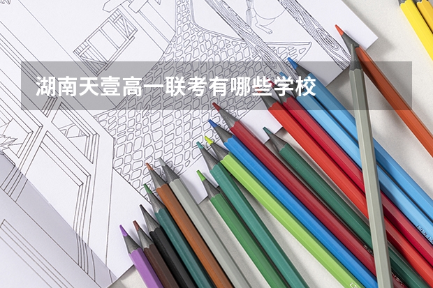 湖南天壹高一联考有哪些学校