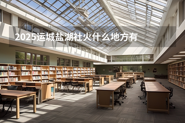 2025运城盐湖社火什么地方有