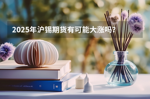 2025年沪锡期货有可能大涨吗？