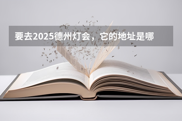 要去2025德州灯会，它的地址是哪里？