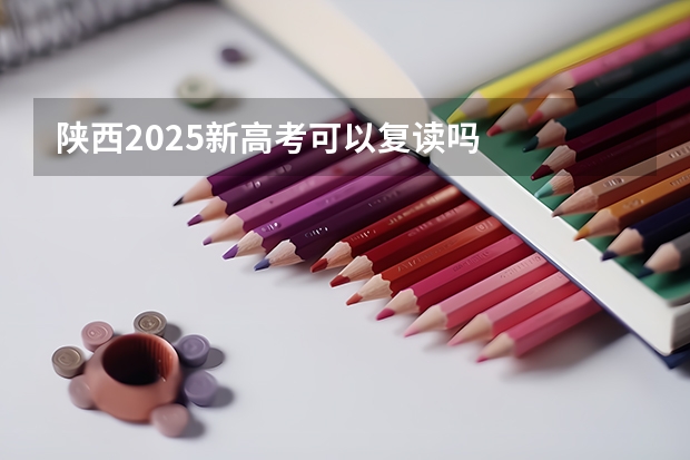 陕西2025新高考可以复读吗