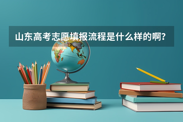 山东高考志愿填报流程是什么样的啊?