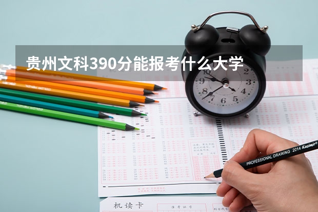 贵州文科390分能报考什么大学