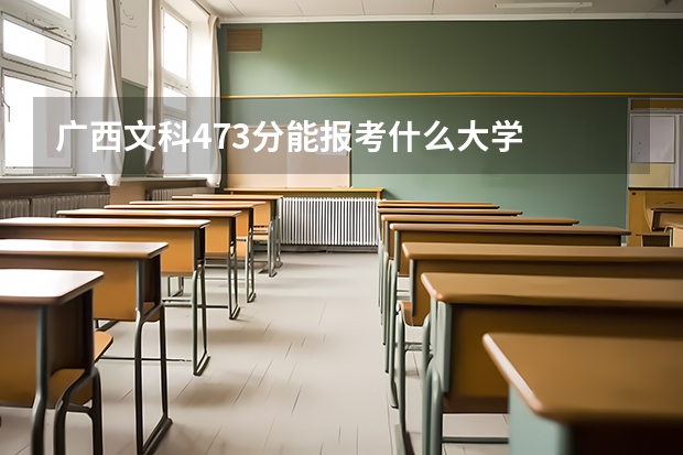 广西文科473分能报考什么大学